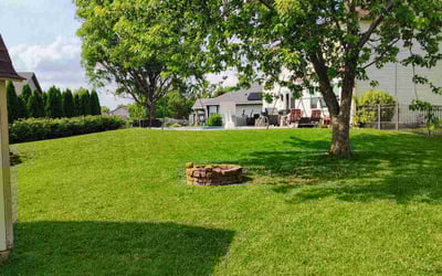 Photo of Steven S.'s yard after getting lawn care in Stockton, CA