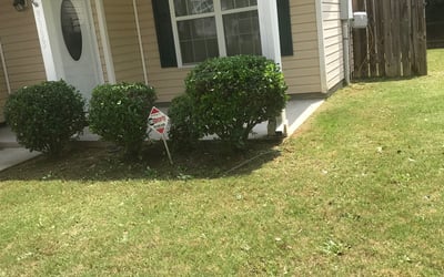 Photo of Gwen A.'s yard after getting lawn care in Victorville, CA