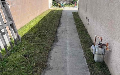 Photo of Crystal D.'s yard after getting lawn care in La Canada Flintridge, CA