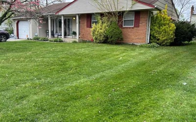 Photo of Lolita H.'s yard after getting lawn care in Cherry Hill, NJ