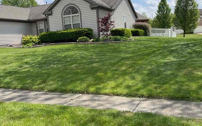 Photo of Vassel F.'s yard after getting lawn care in Pickerington, OH