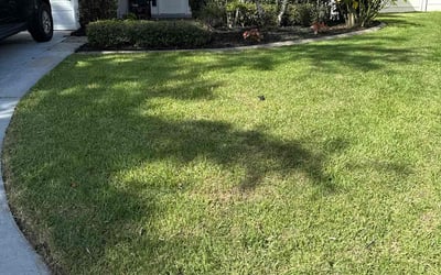Photo of Pam H.'s yard after getting lawn care in Rossville, GA