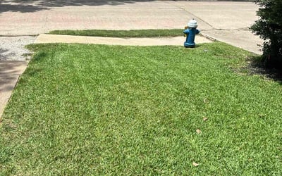 Photo of Ricardo S.'s yard after getting lawn care in Houston, TX