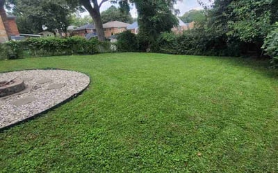 Photo of Whitney M.'s yard after getting lawn care in Appleton, WI