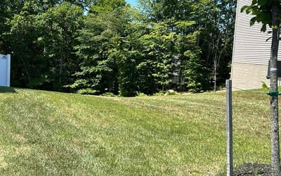 Photo of Nicklas M.'s yard after getting lawn care in Stafford, VA