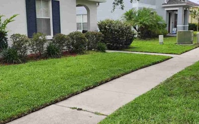 Photo of Tosharia C.'s yard after getting lawn care in Pflugerville, TX