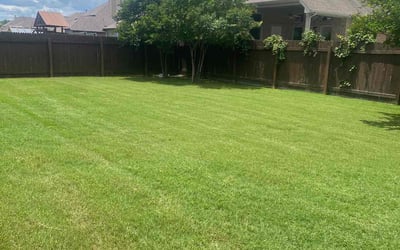 Photo of Zenobia T.'s yard after getting lawn care in La Marque, TX