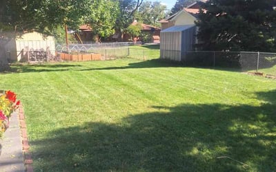 Photo of Lorelei C.'s yard after getting lawn care in Grand Junction, CO
