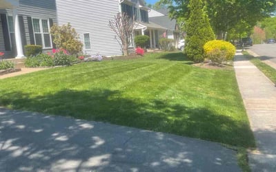 Photo of Michael B.'s yard after getting lawn care in Leesburg, VA
