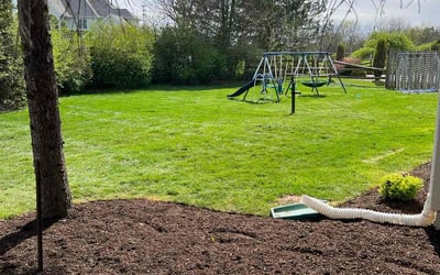 Photo of Gerry F.'s yard after getting lawn care in Sylvania, OH