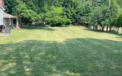 Photo of Rakesh R.'s yard after getting lawn care in La Grange, KY