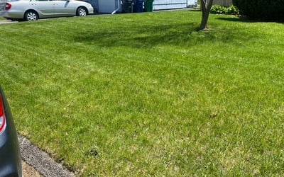 Photo of Samuel G.'s yard after getting lawn care in Warwick, RI