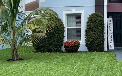 Photo of John D.'s yard after getting lawn care in Holiday, FL