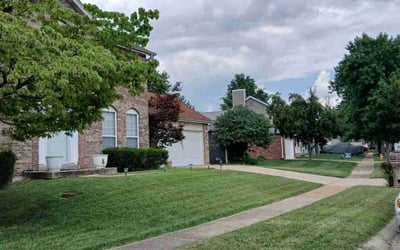 Photo of Mark K.'s yard after getting lawn care in Florissant, MO