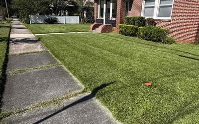 Photo of Sonia D.'s yard after getting lawn care in Gorham, ME
