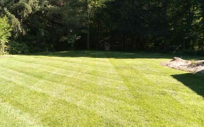 Photo of Long P.'s yard after getting lawn care in Manassas, VA