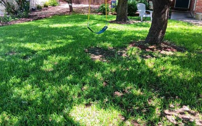 Photo of Joy S.'s yard after getting lawn care in Manor, TX