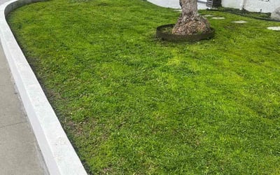 Photo of Christina P.'s yard after getting lawn care in Manhattan Beach, CA