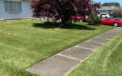 Photo of John N.'s yard after getting lawn care in Nanticoke, PA