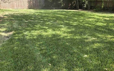 Photo of Matt or Brianna G.'s yard after getting lawn care in Cloverleaf, TX