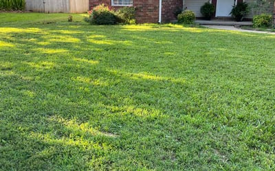 Photo of Leo G.'s yard after getting lawn care in Cabot, AR