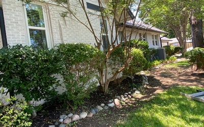 Photo of Ryan M.'s yard after getting tree care in Prior Lake, MN