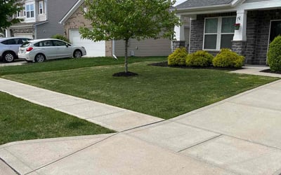Photo of Hardy H.'s yard after getting lawn care in Danville, IN
