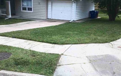 Photo of Tyler D.'s yard after getting lawn care in Bellevue, NE