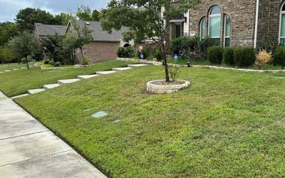 Photo of Mary M.'s yard after getting lawn care in Rockwall, TX