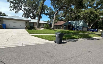 Photo of Angela W.'s yard after getting lawn care in Tampa, FL