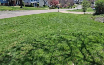 Photo of Rose R.'s yard after getting lawn care in Uniontown, PA