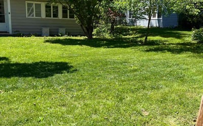 Photo of Ming O.'s yard after getting lawn care in Iowa City, IA
