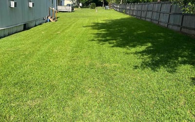 Photo of Gage H.'s yard after getting lawn care in Brandon, MS