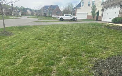 Photo of Perri N.'s yard after getting lawn care in Annapolis, MD