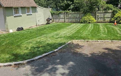 Photo of Cristina D.'s yard after getting lawn care in Maplewood, NJ