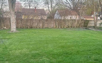 Photo of Victoria S.'s yard after getting lawn care in Atlantic City, NJ