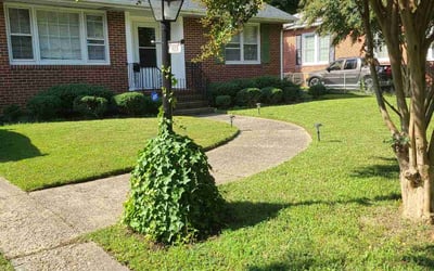 Photo of Lori H.'s yard after getting lawn care in Hopewell, VA