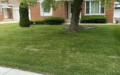 Photo of DANIEL L.'s yard after getting lawn care in Niles, IL