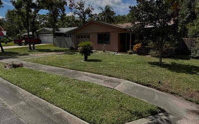 Photo of Mindy S.'s yard after getting lawn care in Port Orange, FL