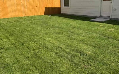 Photo of Lauren P.'s yard after getting lawn care in New Baltimore, MI