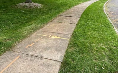 Photo of Debra M.'s yard after getting lawn care in Hackettstown, NJ