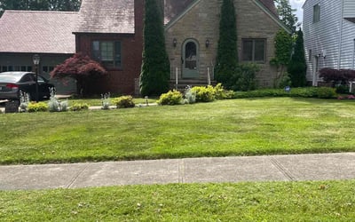 Photo of Maribel E.'s yard after getting lawn care in Lakewood, OH