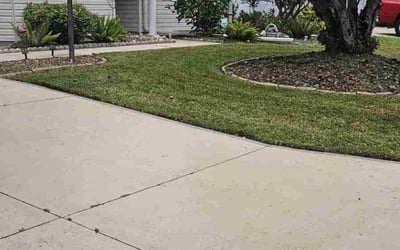 Photo of Louis M.'s yard after getting lawn care in Leesburg, FL