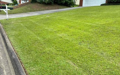 Photo of Amy W.'s yard after getting lawn care in Evans, GA