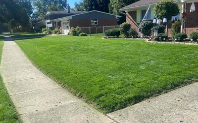 Photo of Carol M.'s yard after getting lawn care in Lake Orion, MI
