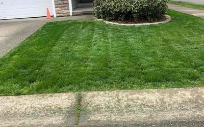 Photo of Shelby A.'s yard after getting lawn care in Maple Valley, WA