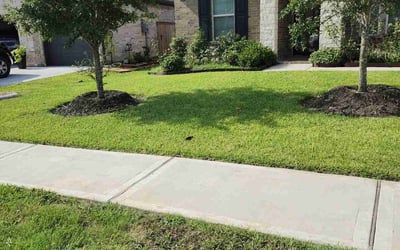 Photo of Lynn W.'s yard after getting lawn care in La Porte, TX