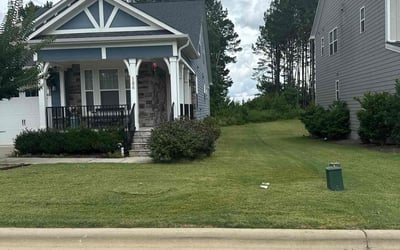 Photo of Sharon K.'s yard after getting lawn care in White Lake, MI