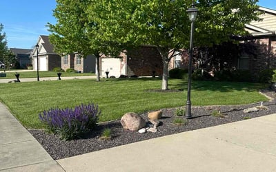 Photo of Kathy C.'s yard after getting lawn care in Washington, IL