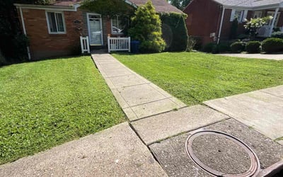 Photo of Harold F.'s yard after getting lawn care in Youngstown, PA